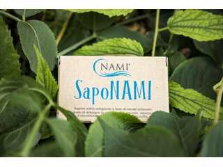 NAMI-SapoNAMI